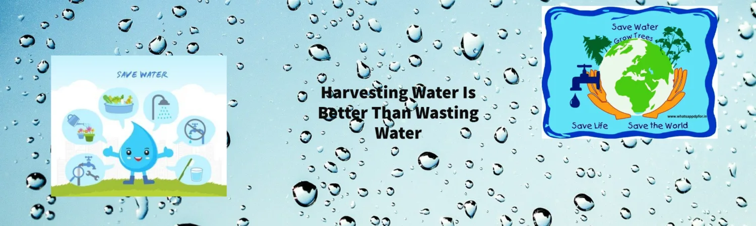 Harvesting water is better than wasting water